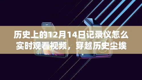 揭秘历史12月14日，实时观看记录仪下的自然之旅与美景相遇