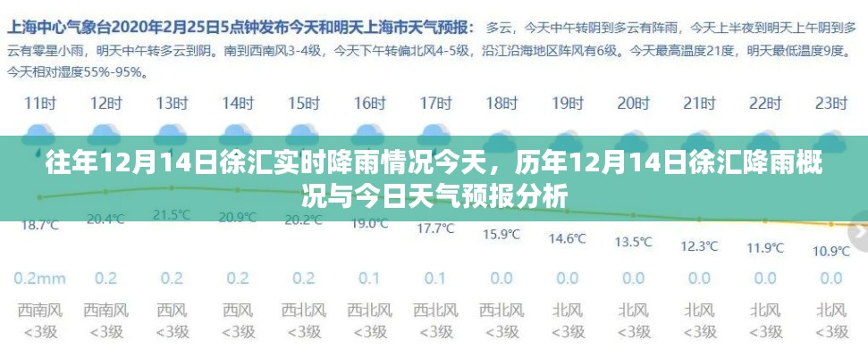 历年与今日对比，12月14日徐汇降雨概况、实时天气与预报分析