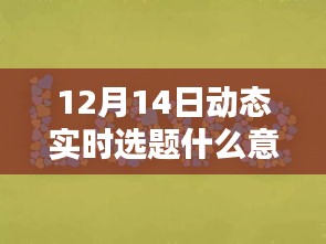 12月14日动态实时选题系统详解与全面评测