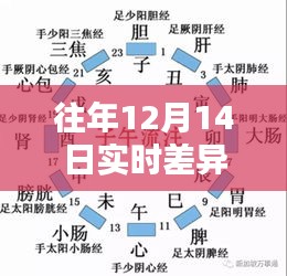 往年12月14日实时差异深度解析与比较