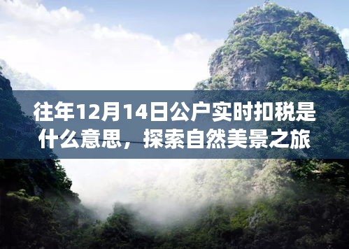 揭秘公户实时扣税背后的故事，探索自然美景之旅与寻找内心宁静的旅程