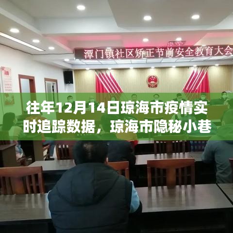 琼海市疫情实时追踪数据，防疫故事与独特美食之旅的隐秘小巷记忆