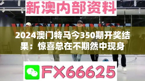 2024澳门特马今350期开奖结果：惊喜总在不期然中现身