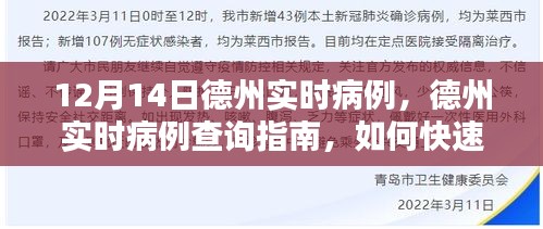 德州实时病例查询指南，12月14日病例数据详解及快速掌握查询流程