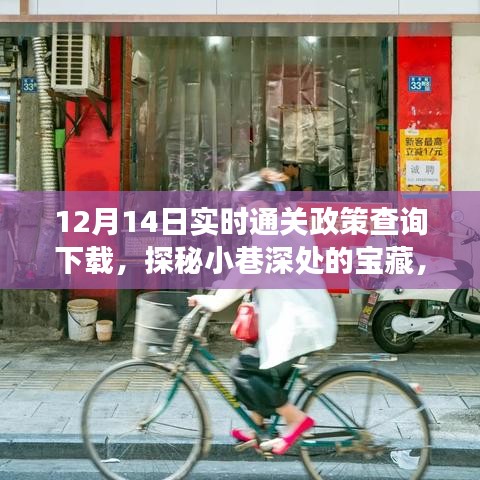 探秘小巷深处的宝藏，揭秘实时通关政策查询下载的独特体验之旅（12月14日）