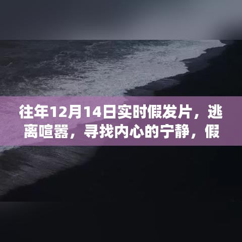 假发片与自然之旅，逃离喧嚣，寻找内心宁静的奇妙体验