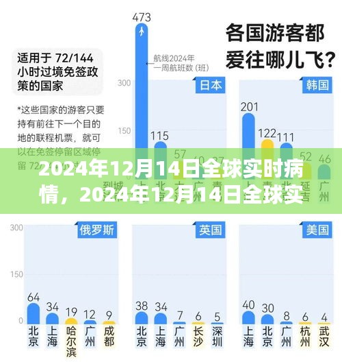 全球实时疫情概览与深度分析，2024年12月14日最新动态