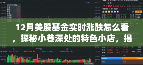 探秘小巷深处特色小店，揭秘十二月美股基金实时涨跌秘籍，实时掌握投资动态！