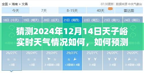 2024年12月14日天子峪实时天气预测与了解，详细步骤指南