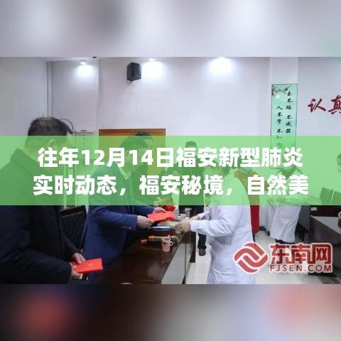 福安新型肺炎实时动态与秘境美景之旅，探寻自然美景与内心宁静的交融