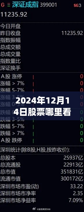 2024年股票实时成交量查看平台全面测评，聚焦12月14日的股市实时成交量观察