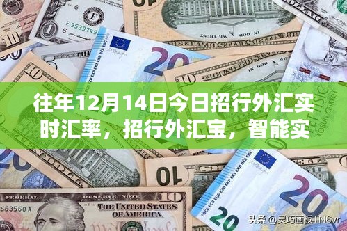 招行外汇实时汇率监控，科技重塑金融生活新篇章，智能汇率监控尽在招行外汇宝往年汇率回顾