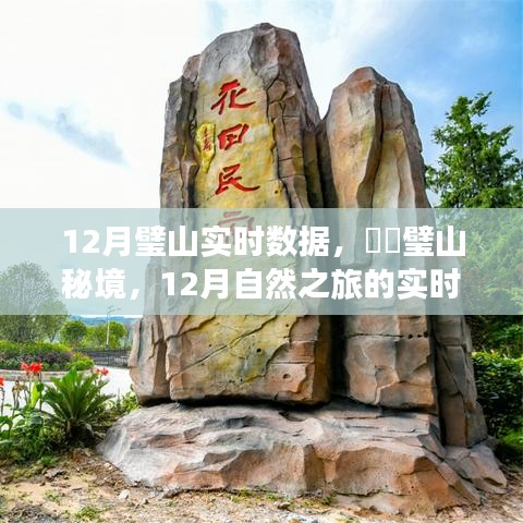 ​​探寻璧山秘境，12月自然之旅实时数据报告与心灵对话