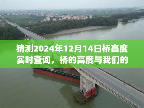 桥的高度与心之桥，友情与未来的故事，实时查询预测桥高（2024年12月14日）