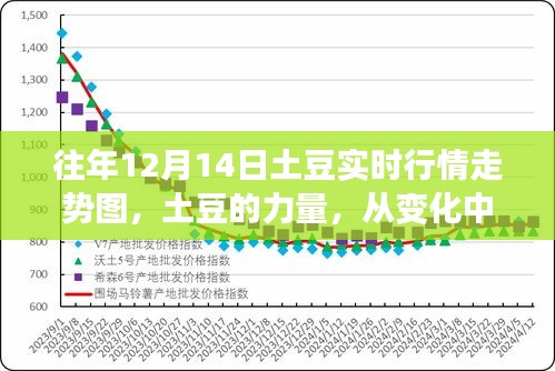 往年12月14日土豆行情走势图，洞悉土豆力量，实时数据激发自信与成就感之路