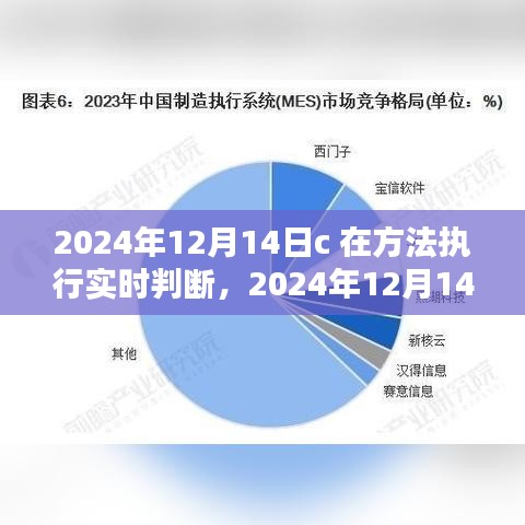 2024年12月14日C语言方法执行实时判断深度解析与探讨