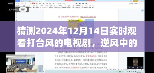 逆风中的智慧与勇气，励志电视剧启示与台风共舞的成长之路