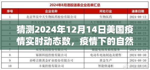 美国疫情预测与探索未知美景，自然之旅的新篇章，2024年12月14日疫情动态展望