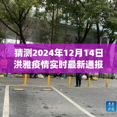 2024年视角，洪雅疫情最新动态预测与解读，实时通报最新进展