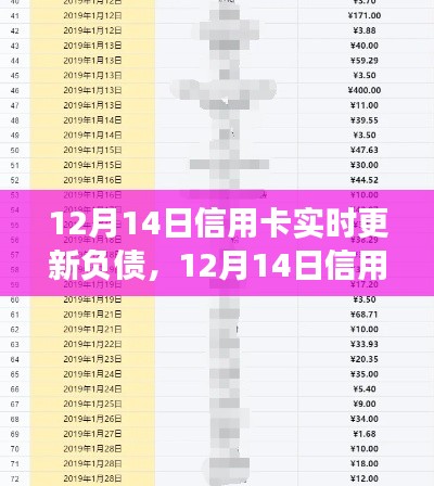 12月14日信用卡负债实时更新，个人财务的有效管理策略