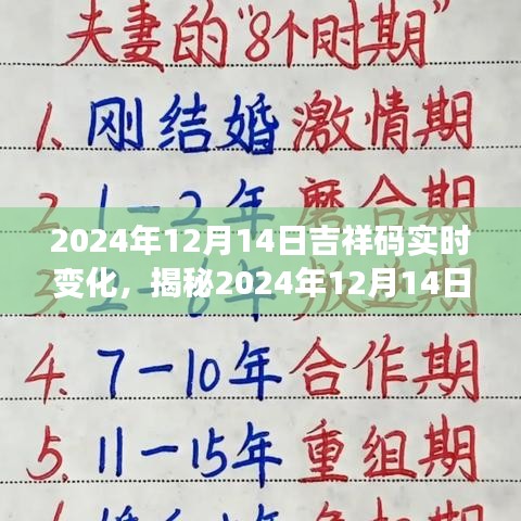 揭秘，2024年12月14日吉祥码实时变化深度解析与用户体验对比竞品分析