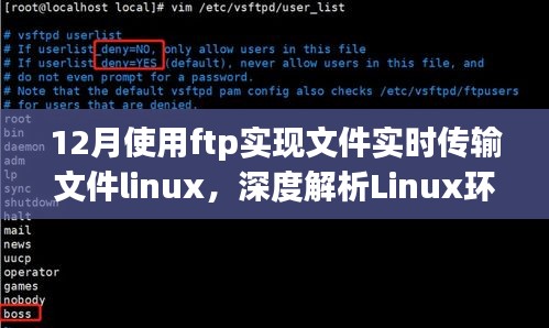 Linux环境下FTP在12月实现文件实时传输的深度解析与优劣探讨