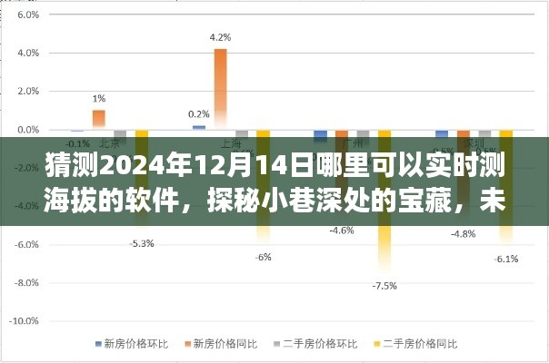 2024年12月17日 第26页