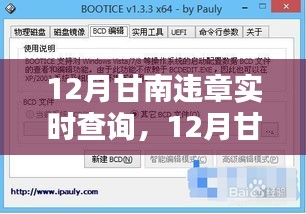 12月甘南违章实时查询系统详解与深度评测