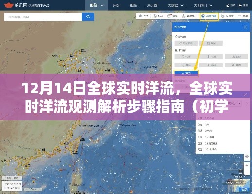 全球洋流观测解析步骤指南，从初学者到进阶用户的实时洋流观测指南（12月14日更新）