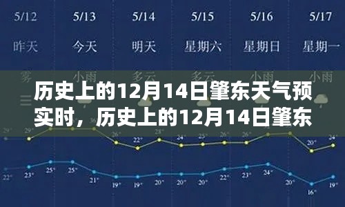 肇东天气预报查询，历史12月14日天气实时查询指南