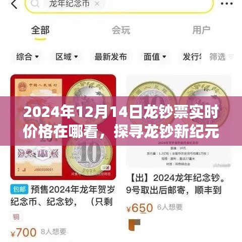 探寻龙钞新纪元，实时价格动态与学习变化之道