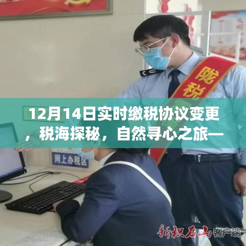 税海探秘，揭秘实时缴税协议变更之旅