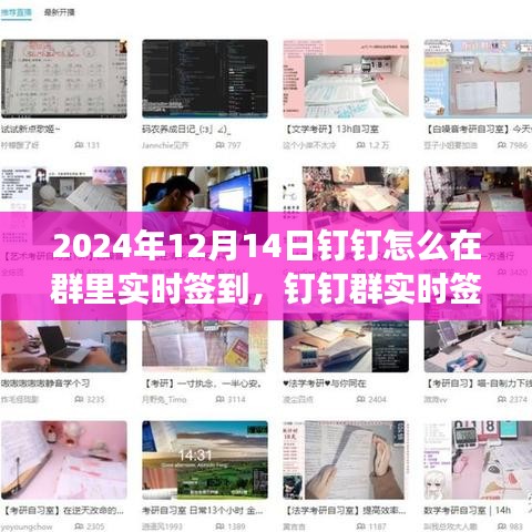 2024年钉钉群实时签到功能指南，数字时代的签到新纪元