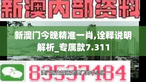 新澳门今晚精准一肖,诠释说明解析_专属款7.311