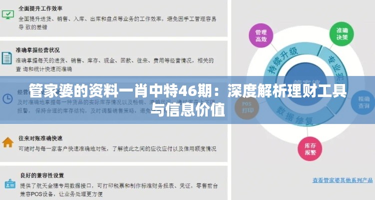 管家婆的资料一肖中特46期：深度解析理财工具与信息价值