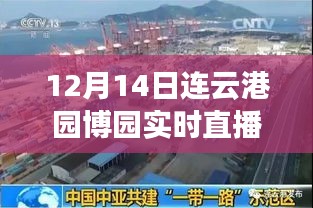 12月14日连云港园博园直播日，变化中的学习与自信成就感的绽放