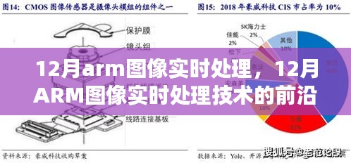 12月ARM图像实时处理技术的前沿应用及其影响