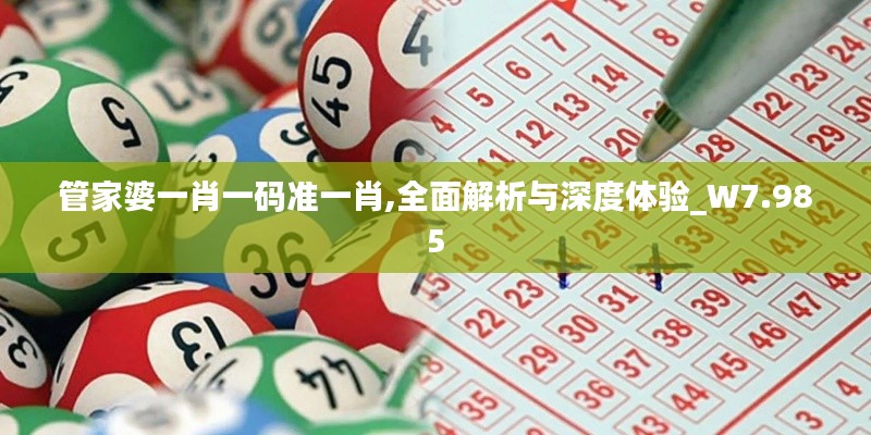 管家婆一肖一码准一肖,全面解析与深度体验_W7.985