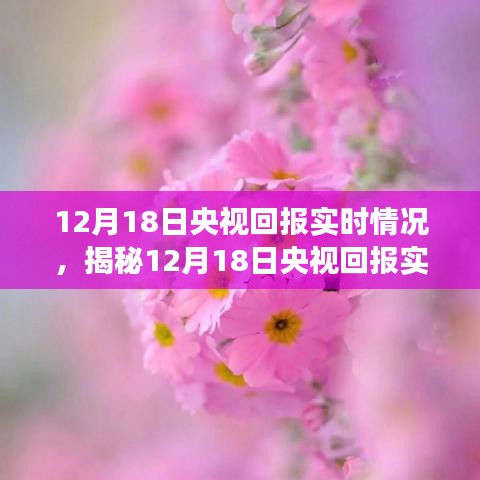 揭秘央视回报实时情况，视觉盛宴背后的故事，12月18日独家报道