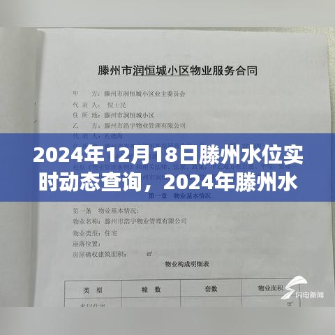 2024年滕州水位实时动态查询，掌握最新水位信息，畅游无忧