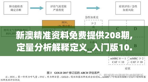 新澳精准资料免费提供208期,定量分析解释定义_入门版10.612