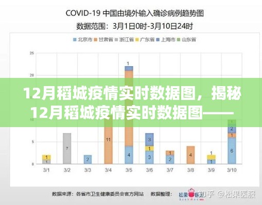 揭秘稻城疫情实时数据图，疫情现状、趋势分析与应对策略（12月版）