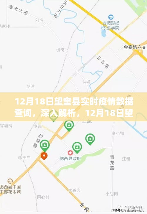 12月18日望奎县实时疫情数据查询深度解析与全面评测报告