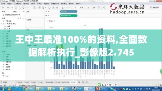 王中王最准100%的资料,全面数据解析执行_影像版2.745