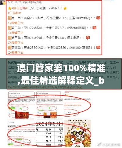 澳门管家婆100%精准,最佳精选解释定义_bundle6.536