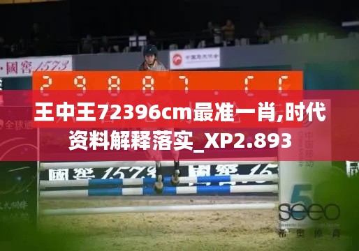 王中王72396cm最准一肖,时代资料解释落实_XP2.893