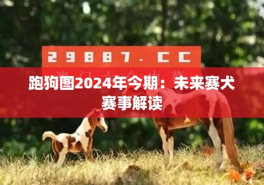 跑狗图2024年今期：未来赛犬赛事解读