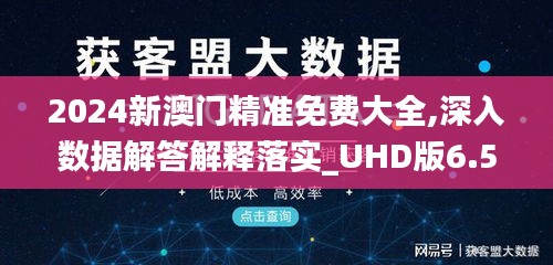 2024新澳门精准免费大全,深入数据解答解释落实_UHD版6.507