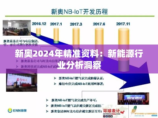 新奥2024年精准资料：新能源行业分析洞察