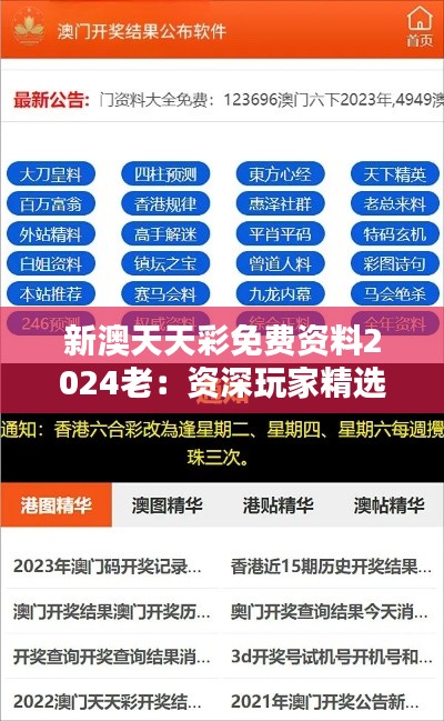 新澳天天彩免费资料2024老：资深玩家精选推荐